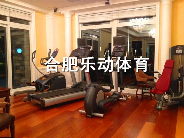合肥别墅健身(shēn)房(fáng)